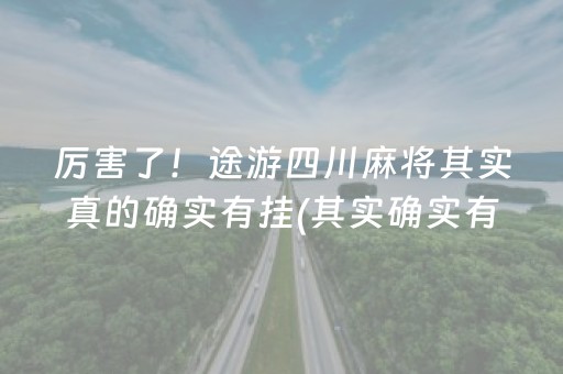 厉害了！途游四川麻将其实真的确实有挂(其实确实有挂)