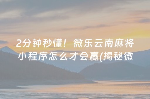 必看盘点揭秘“小程序打麻将有插件吗”（怎么增加胜率)