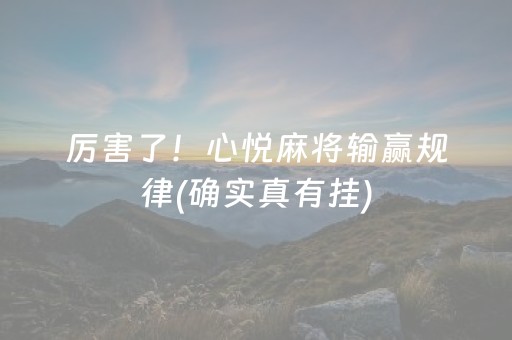 玩家必看科普“微信小程序麻将怎么增加胜率”（专用神器)