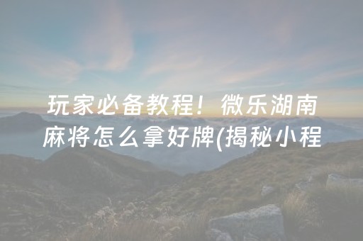 玩家必备教程！微乐湖南麻将怎么拿好牌(揭秘小程序专用神器下载)