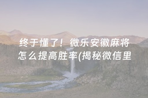 终于懂了！微乐安徽麻将怎么提高胜率(揭秘微信里自建房怎么赢)