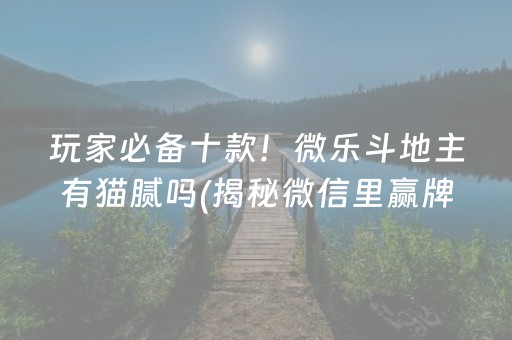 玩家必备十款！微乐斗地主有猫腻吗(揭秘微信里赢牌的技巧)