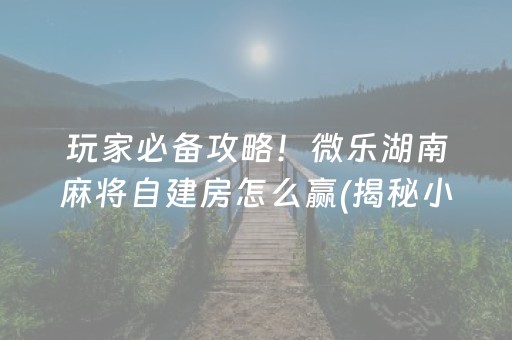 玩家必备攻略！微乐湖南麻将自建房怎么赢(揭秘小程序插件下载)