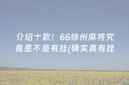 介绍十款！66徐州麻将究竟是不是有挂(确实真有挂)