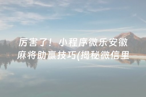 三分钟了解“微乐辽宁麻将挂件神器”（怎么控制输赢)