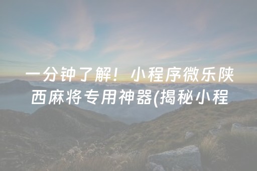 一分钟了解！小程序微乐陕西麻将专用神器(揭秘小程序助攻神器)