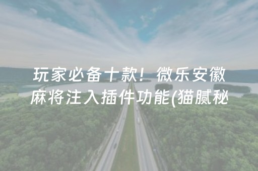 分享玩家攻略“广东微乐麻将助赢神器购买”（助赢神器)