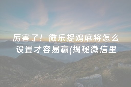 厉害了！微乐捉鸡麻将怎么设置才容易赢(揭秘微信里赢的诀窍)