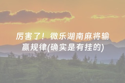 给玩家盘点十款“微信小程序微乐麻将如何让系统发好牌”（胜率到哪调)