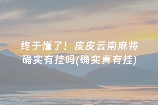 终于懂了！皮皮云南麻将确实有挂吗(确实真有挂)