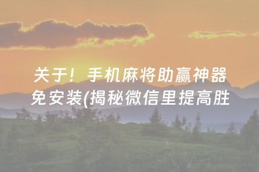 分享玩家攻略“微乐锄大地助赢神器购买”（透明挂辅助器)