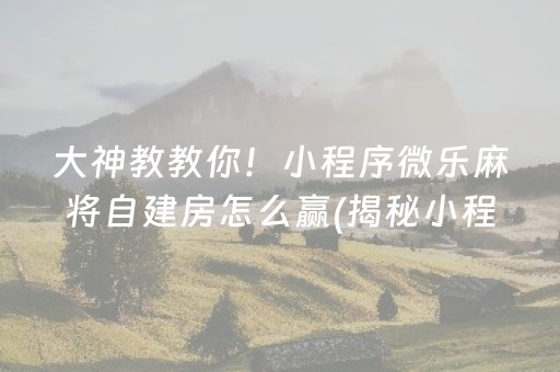 大神教教你！小程序微乐麻将自建房怎么赢(揭秘小程序专用神器下载)