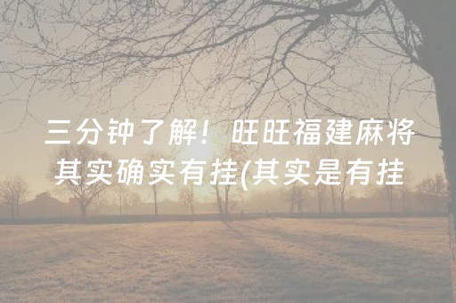 介绍十款“雀神广东麻将挂的骗局”（怎么让系统给你发好牌)