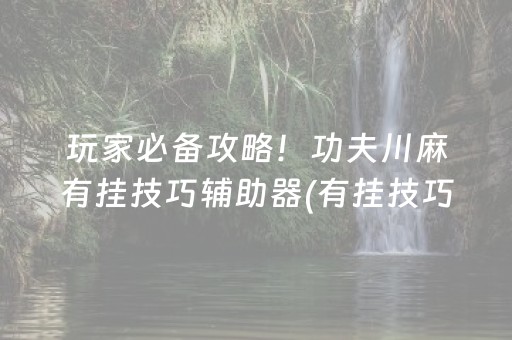 玩家必备攻略！功夫川麻有挂技巧辅助器(有挂技巧辅助器)