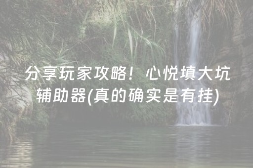 分享玩家攻略！心悦填大坑辅助器(真的确实是有挂)