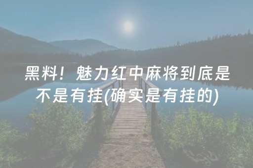 黑料！魅力红中麻将到底是不是有挂(确实是有挂的)