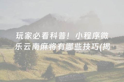 玩家必看科普！小程序微乐云南麻将有哪些技巧(揭秘微信里提高胜率)