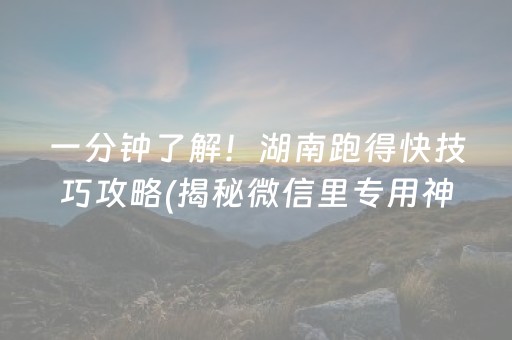 一分钟了解“财神十三张开挂辅助器应用”（提高胜率技巧)