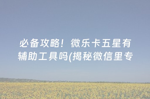 必备攻略！微乐卡五星有辅助工具吗(揭秘微信里专用神器下载)