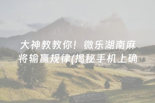 玩家必备教程“微乐麻将一直输是被系统针对了吗”（助赢神器)