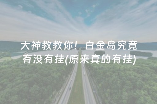 大神教教你！白金岛究竟有没有挂(原来真的有挂)