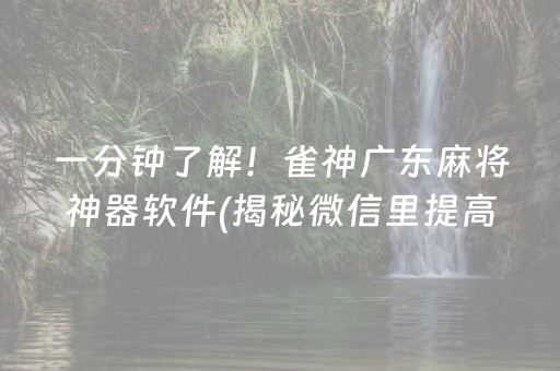 一分钟了解！雀神广东麻将神器软件(揭秘微信里提高赢的概率)