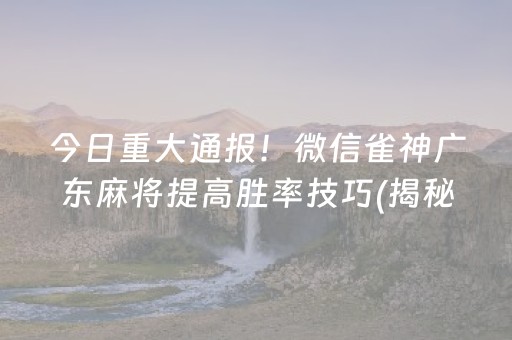 今日重大通报！微信雀神广东麻将提高胜率技巧(揭秘小程序助赢软件)