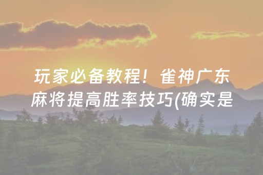 给玩家盘点十款“微信小程序广东雀神麻将插件”（小程序辅助软件)