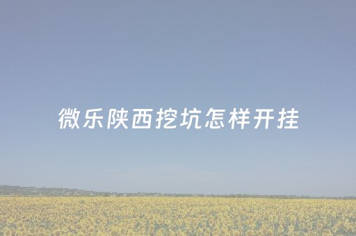 微乐陕西挖坑怎样开挂（微乐陕西挖坑怎么看回放）