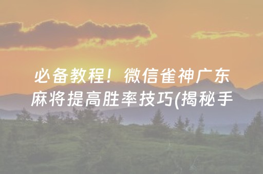 必备教程！微信雀神广东麻将提高胜率技巧(揭秘手机上插件购买)