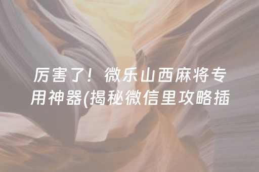 玩家必备教程“小程序广东雀神麻将插件可信吗”（助攻神器)