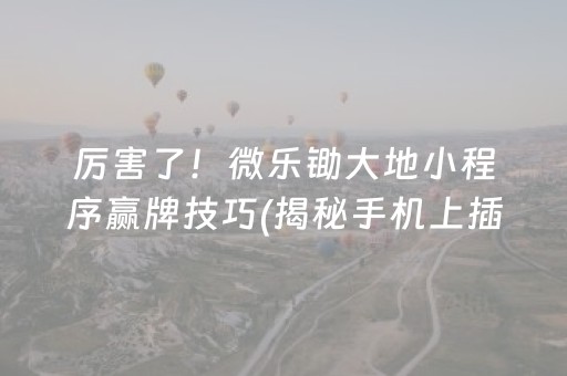 厉害了！微乐锄大地小程序赢牌技巧(揭秘手机上插件购买)