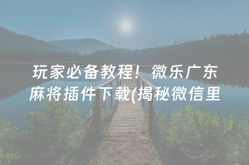 玩家必备教程！微乐广东麻将插件下载(揭秘微信里提高胜率)