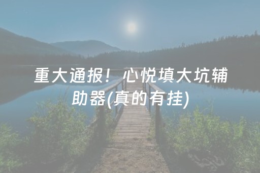 重大通报！心悦填大坑辅助器(真的有挂)