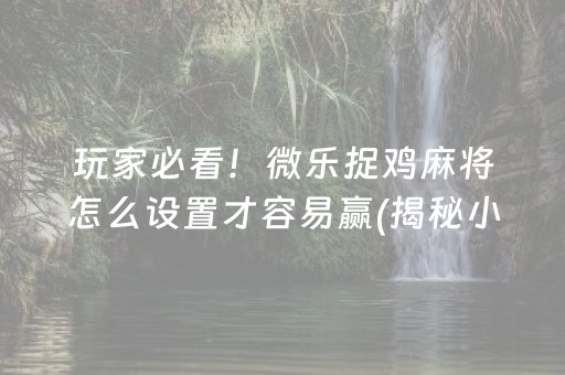 玩家必看！微乐捉鸡麻将怎么设置才容易赢(揭秘小程序提高赢的概率)