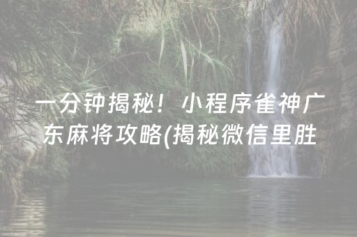 一分钟揭秘！小程序雀神广东麻将攻略(揭秘微信里胜率到哪调)