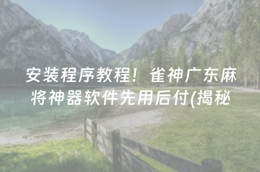 安装程序教程！雀神广东麻将神器软件先用后付(揭秘小程序专用神器)