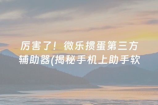 厉害了！微乐掼蛋第三方辅助器(揭秘手机上助手软件)