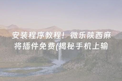 安装教程“微乐山东麻将助攻神器”（小程序控牌器)