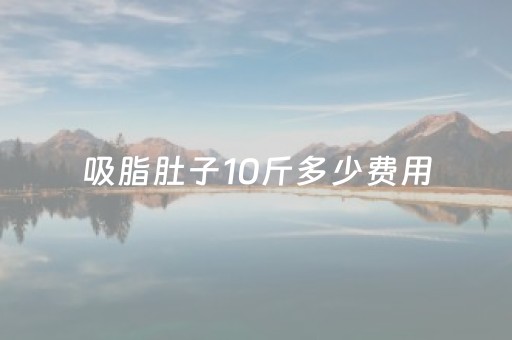 吸脂肚子10斤多少费用（手术吸脂40斤要多少钱）