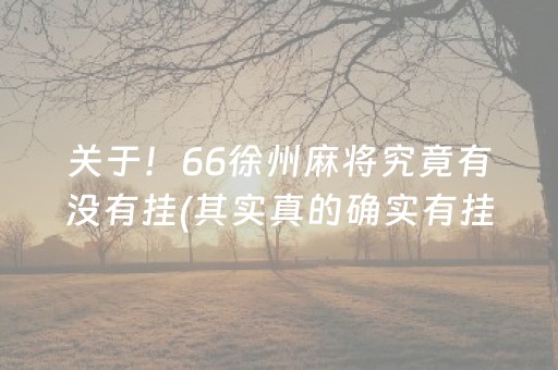 关于！66徐州麻将究竟有没有挂(其实真的确实有挂)