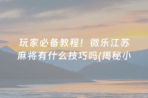 玩家必看攻略“微乐麻将充值能提高胜率”（开挂辅助脚本)