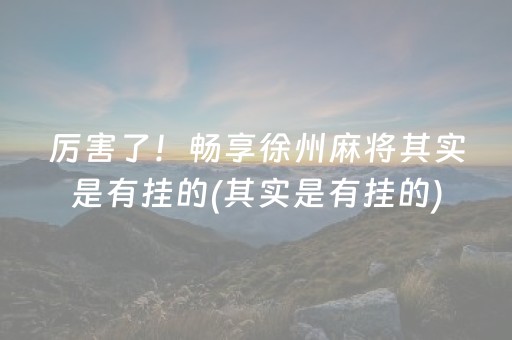 厉害了！畅享徐州麻将其实是有挂的(其实是有挂的)