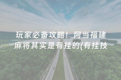 玩家必备攻略！阿当福建麻将其实是有挂的(有挂技巧辅助器)