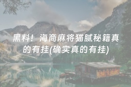 玩家必看攻略“微乐内蒙麻将助赢神器”（辅牌器插件购买)