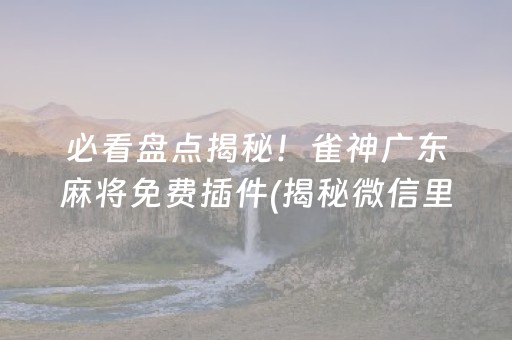 玩家必备攻略“微信打麻将可以作假吗”（充会员胜率高)