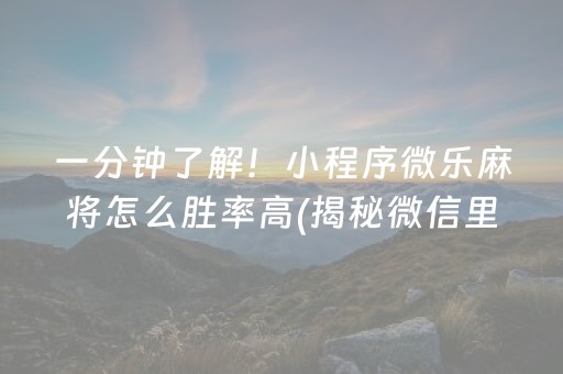 大神教教你“微乐湖南麻将三打哈输赢规律”（插件可信吗)