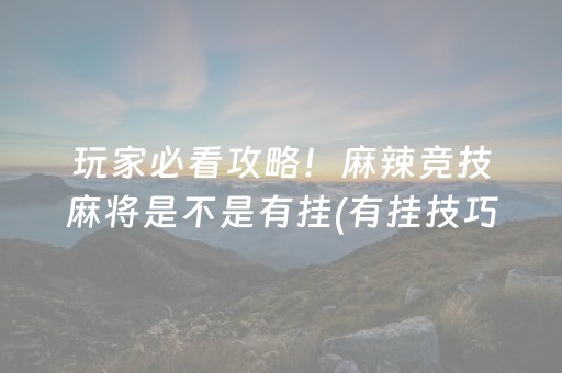 玩家必看科普“微乐安徽麻将助赢神器购买”（胜负规律拿好牌)