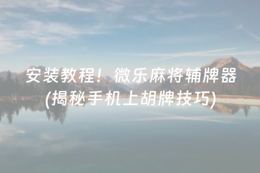 玩家必看“微乐捉鸡麻将小程序控牌器”（透明挂辅助器)