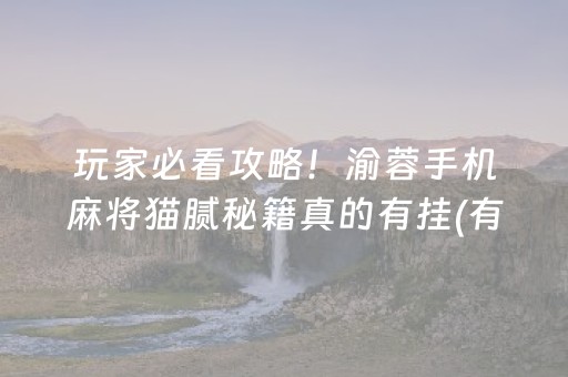 给大家科普一下“微乐安徽麻将专用神器”（有没有猫腻)